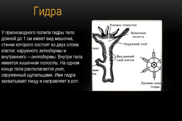 Кракен актуальная ссылка kraken torion net