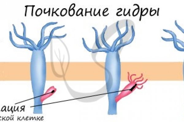 Кракен ссылка kra